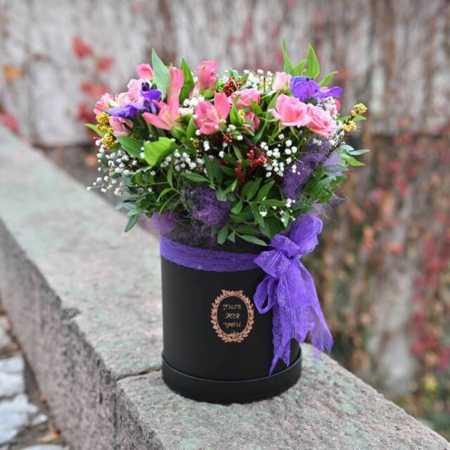 kutiq vanda