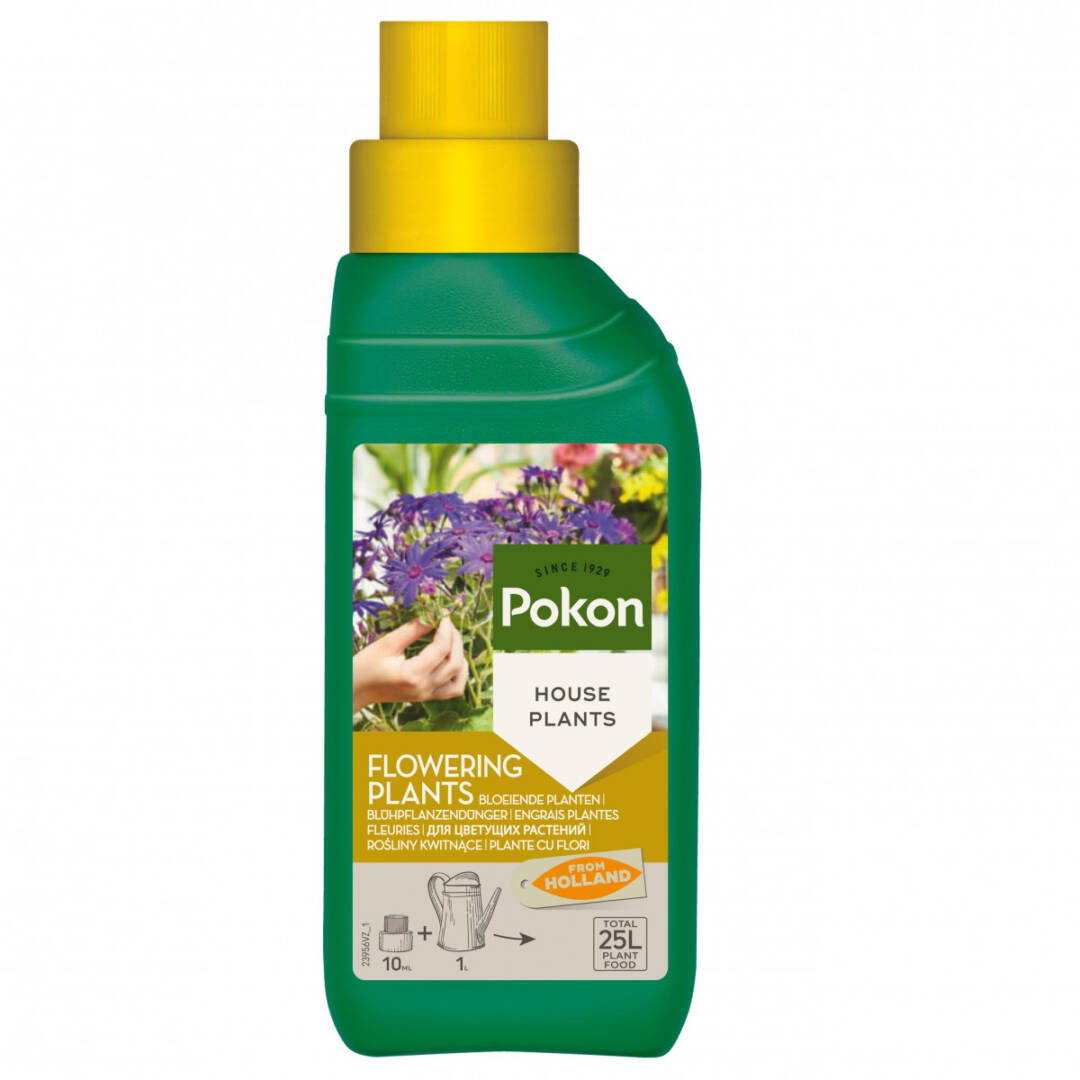 pokon3