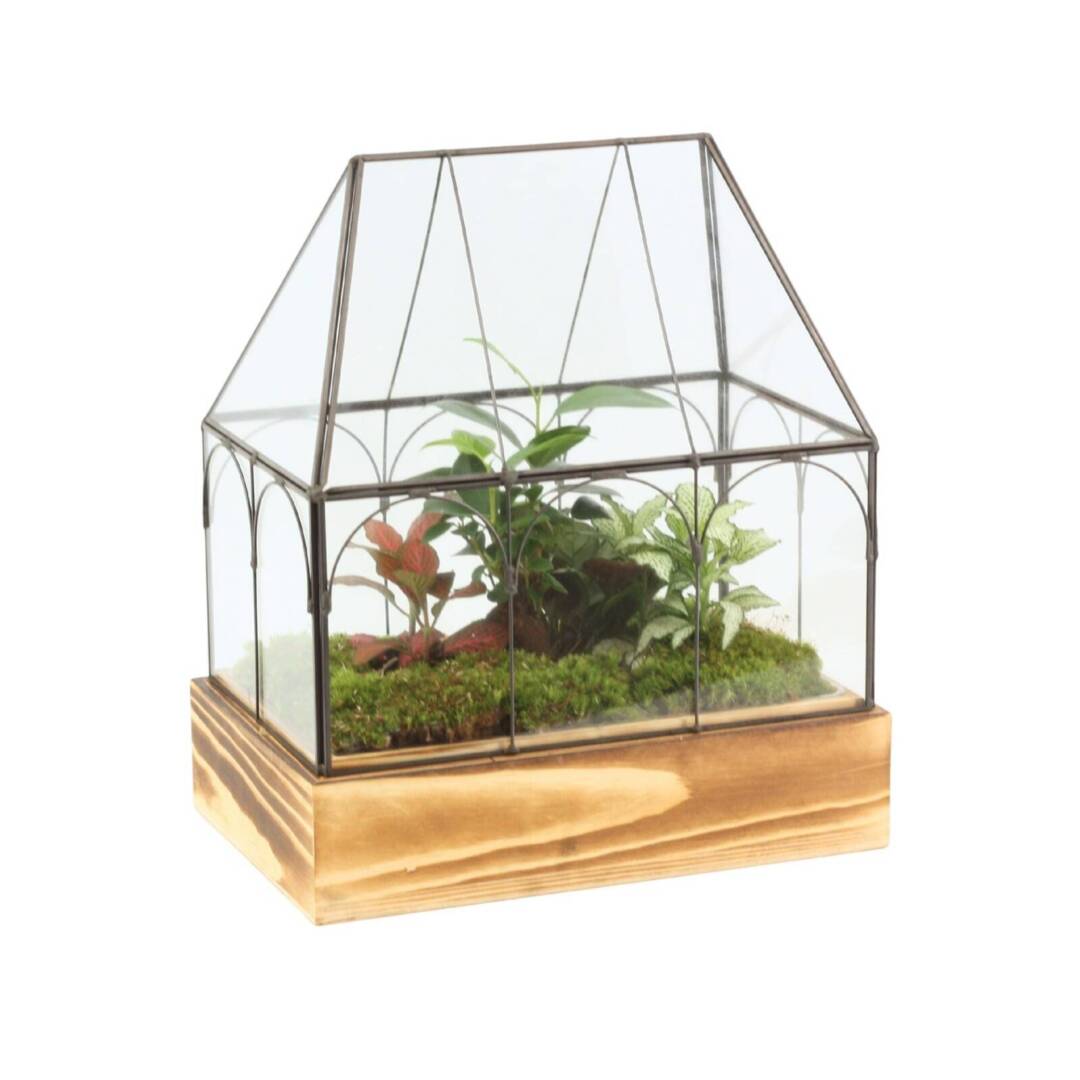 mini-gradina-2 Мини градина в стъклена къщичка – терариум 25×17×30 см