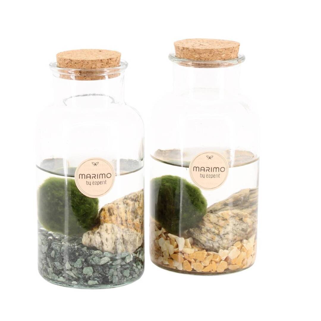 marimo-M