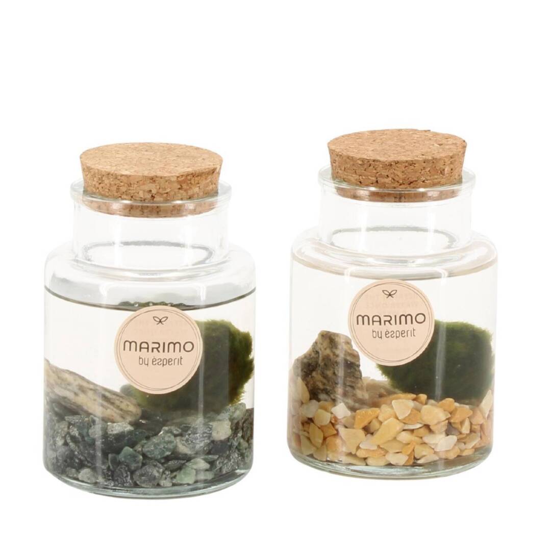 marimo-S