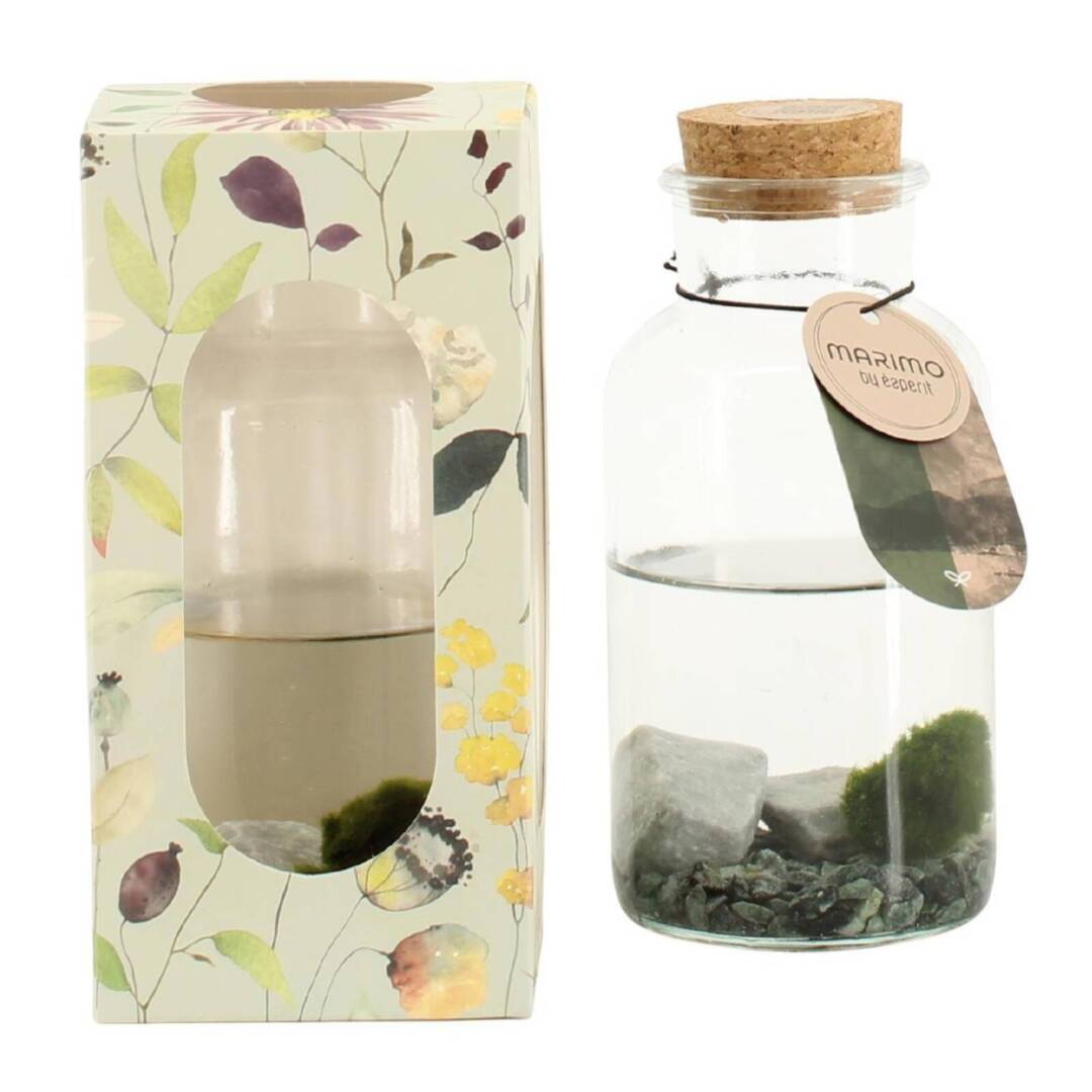 marimo-kutia