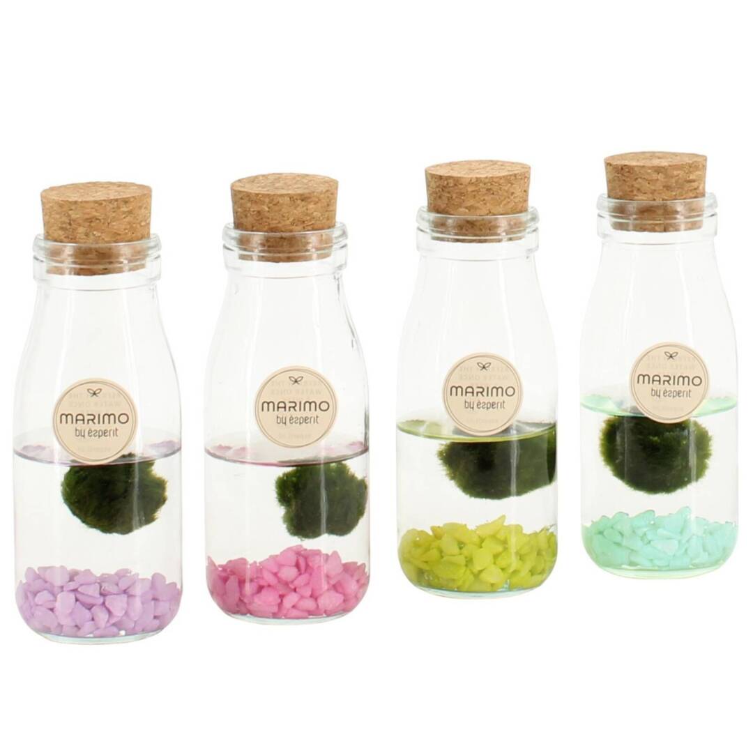 marimo-rainbow-M