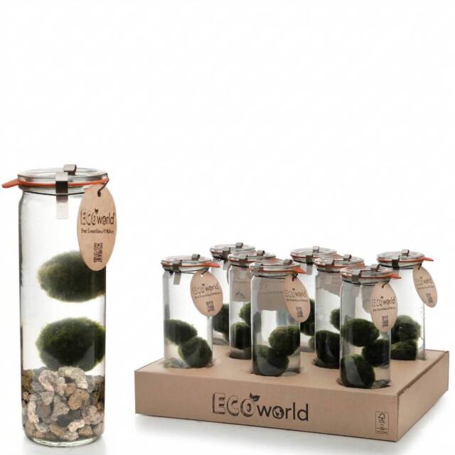 marimo